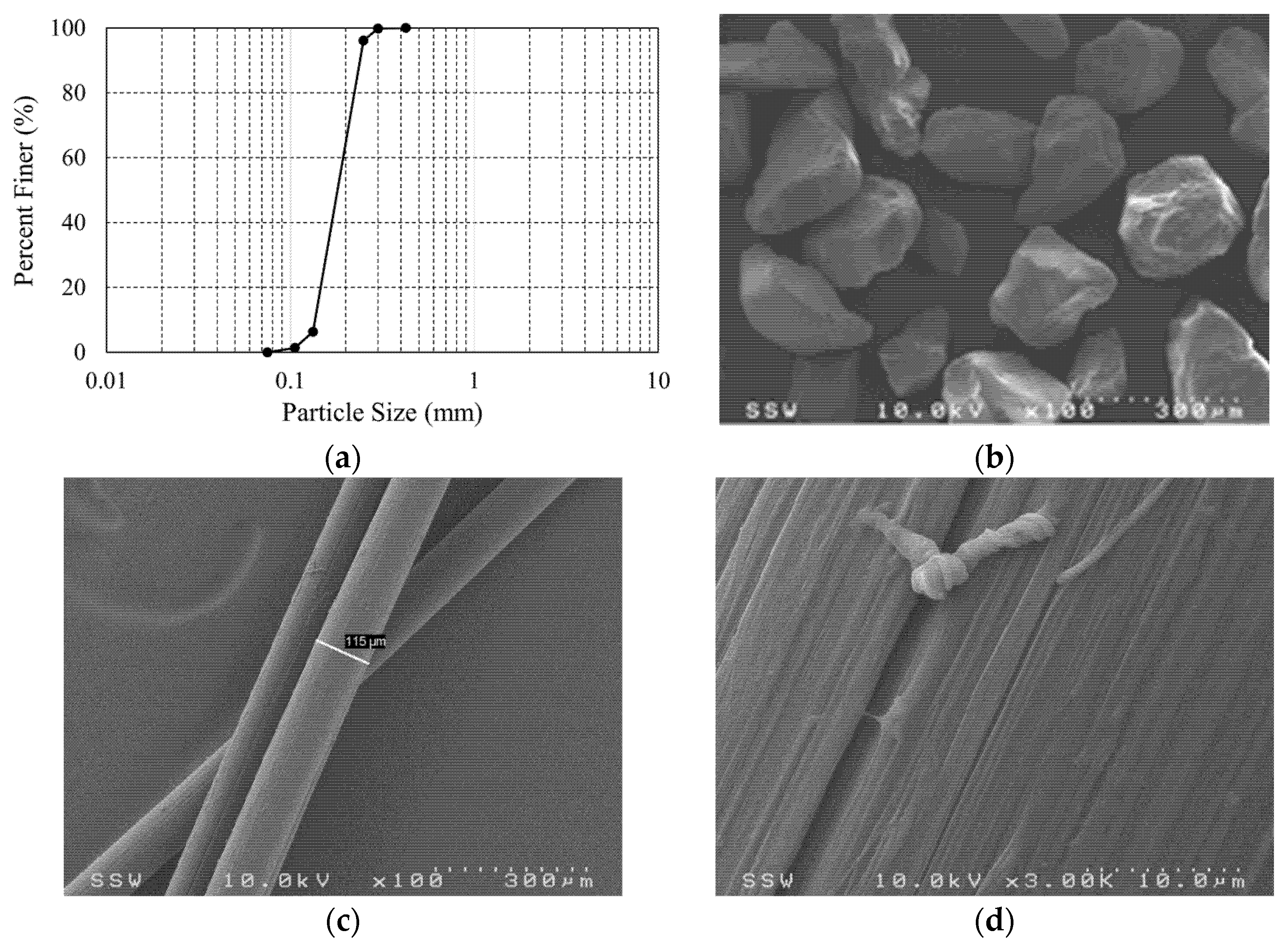 Sustainability 12 10468 g002