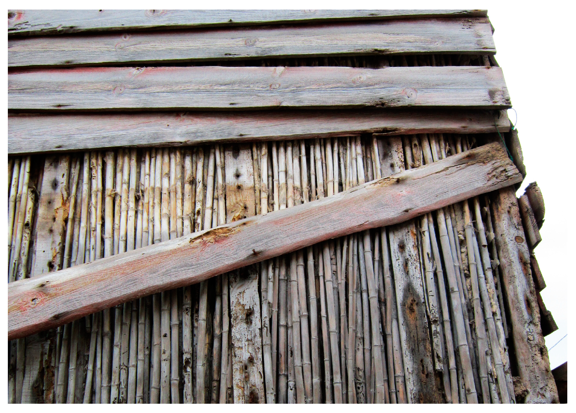 Sustainability 12 10484 g002