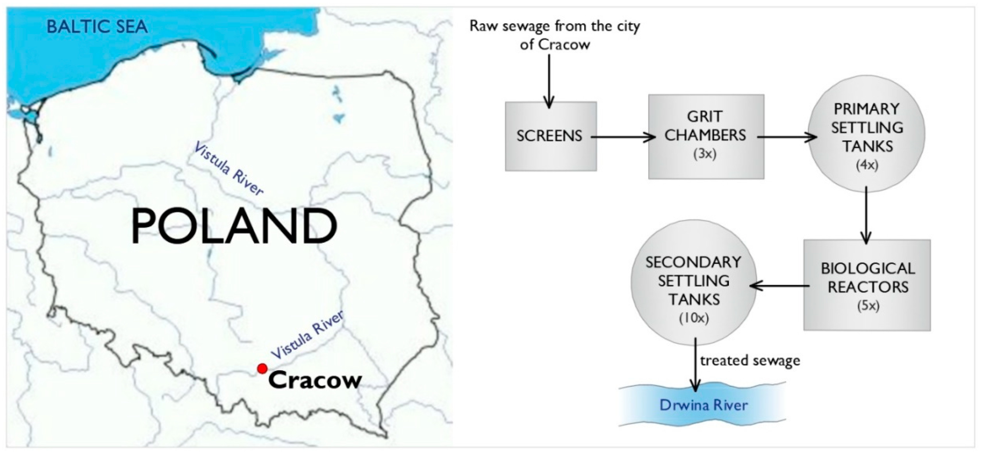 Sustainability 12 10522 g001