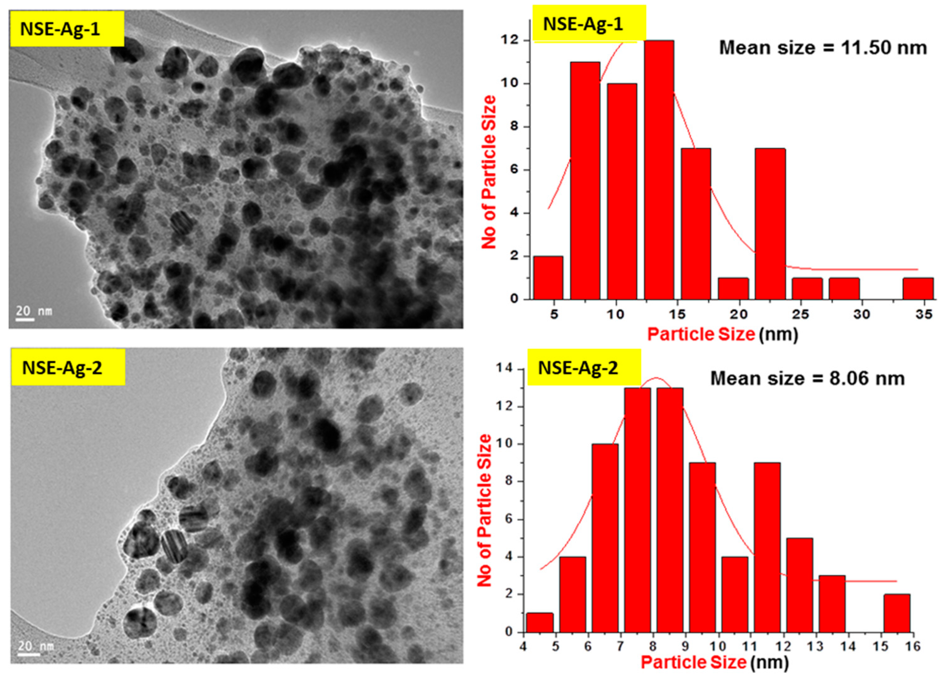 Sustainability 12 10523 g005
