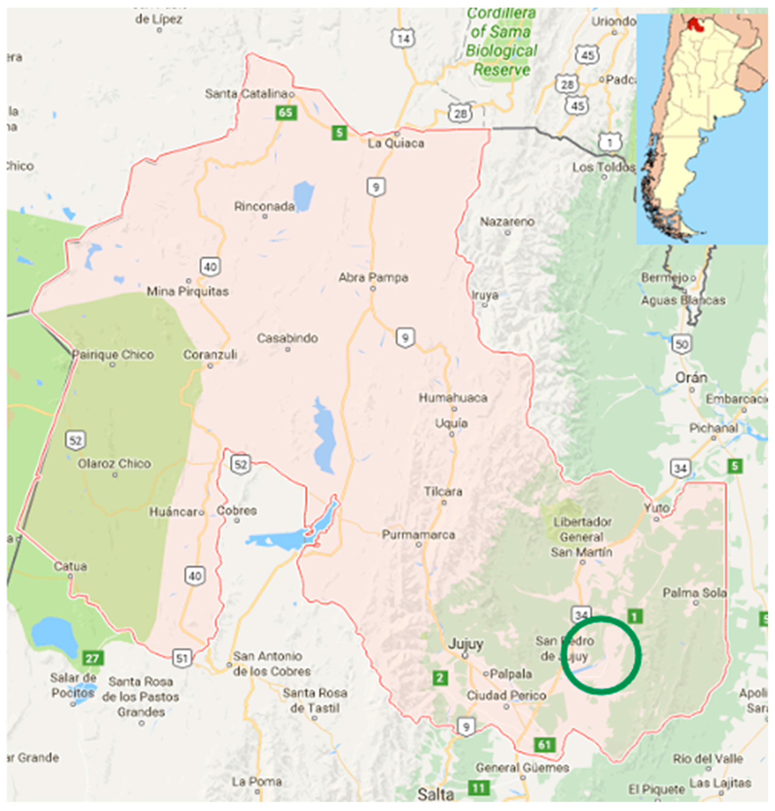 Sustainability 12 10526 g001 Sustainability 12 10526 g001