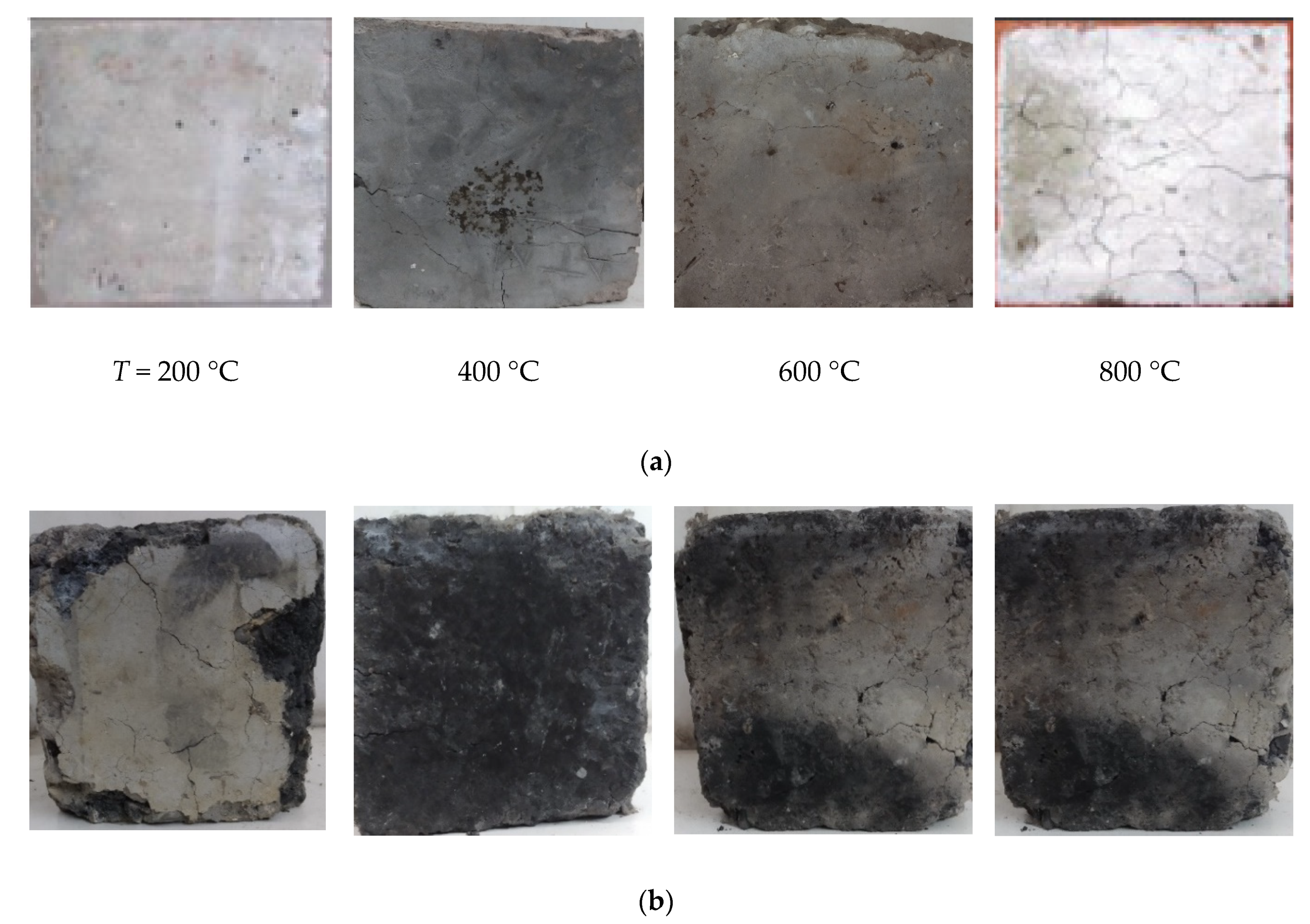 Sustainability 12 10548 g013