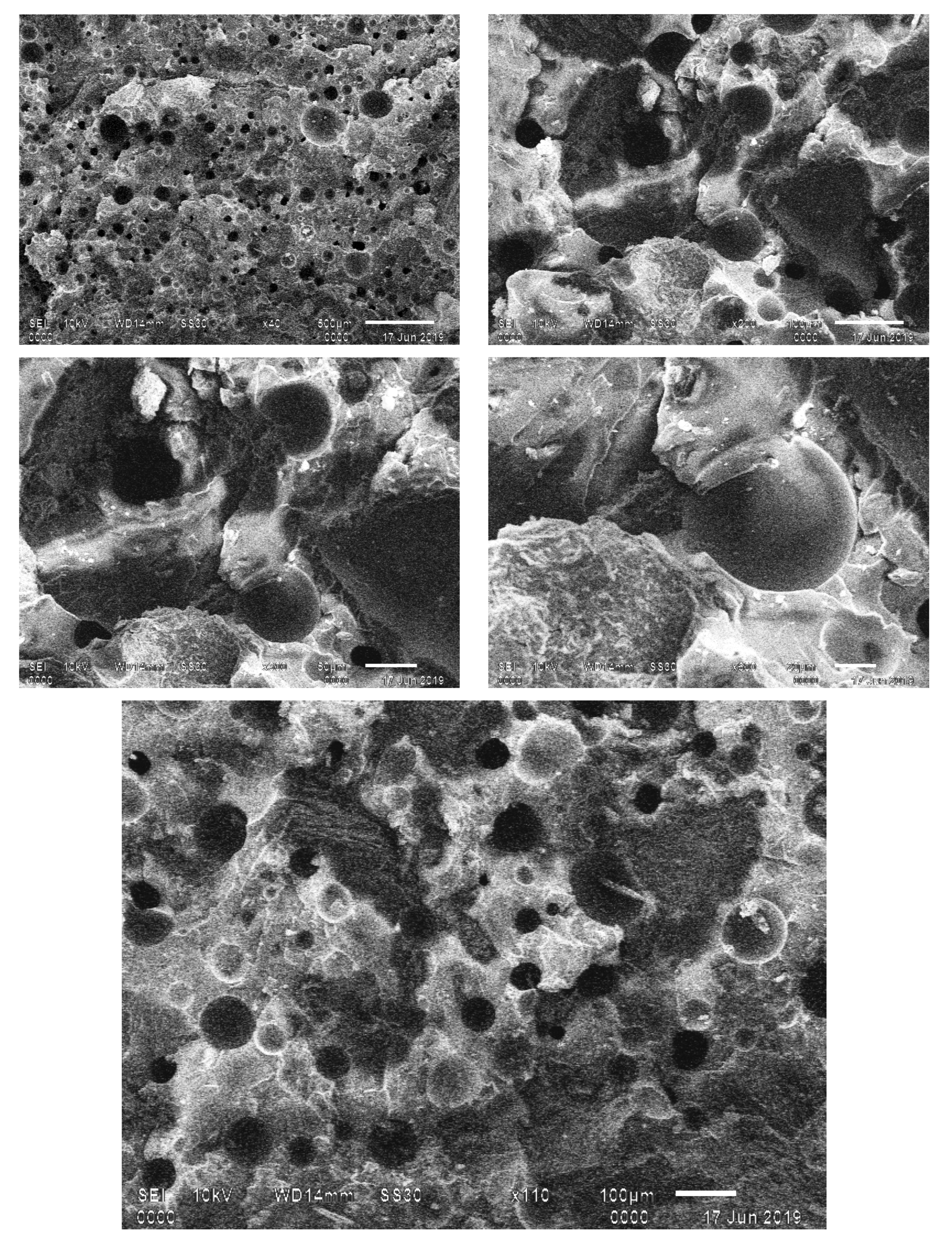 Sustainability 12 10548 g014