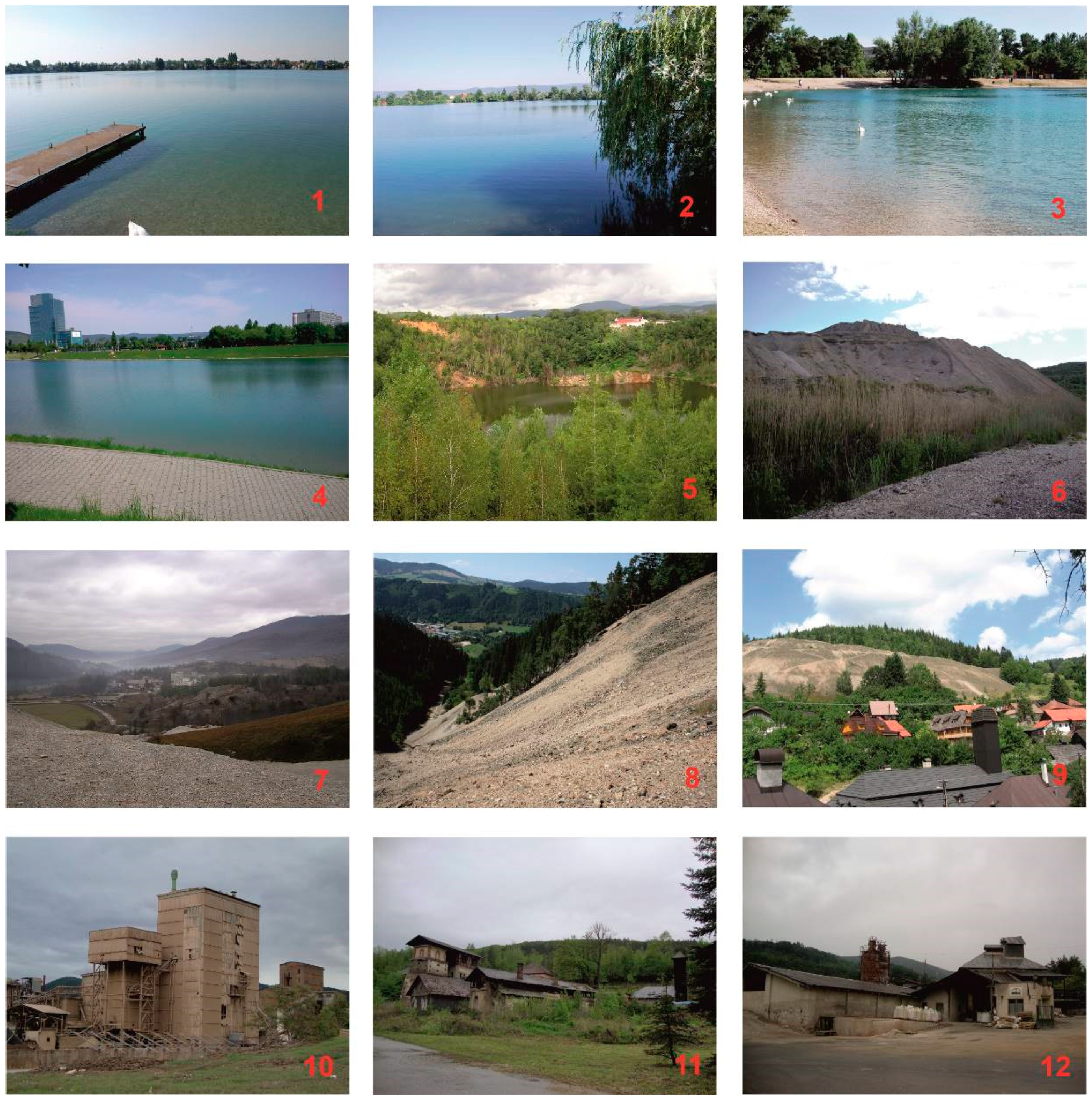 Sustainability 12 10569 g0a2