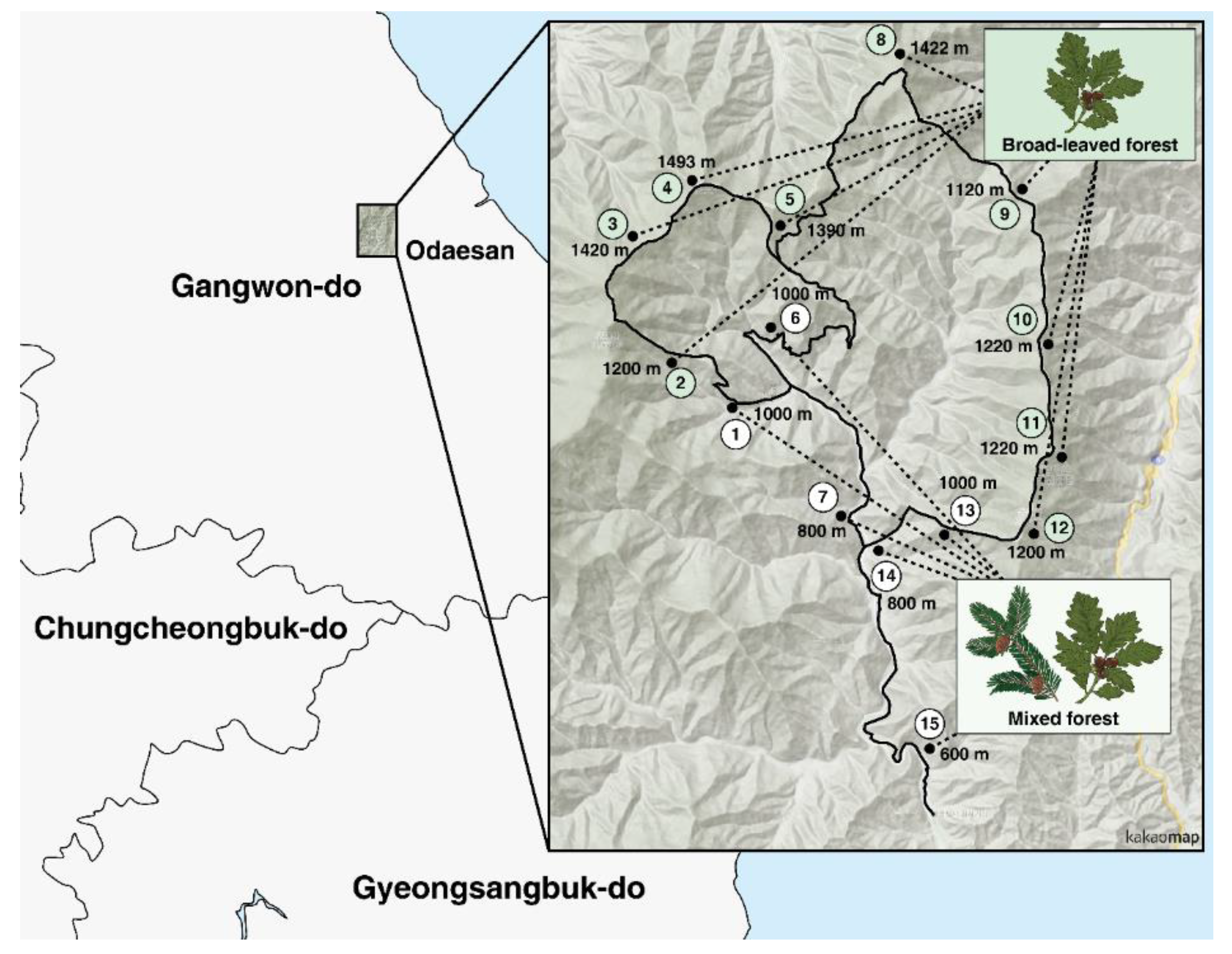 Sustainability 12 10591 g002