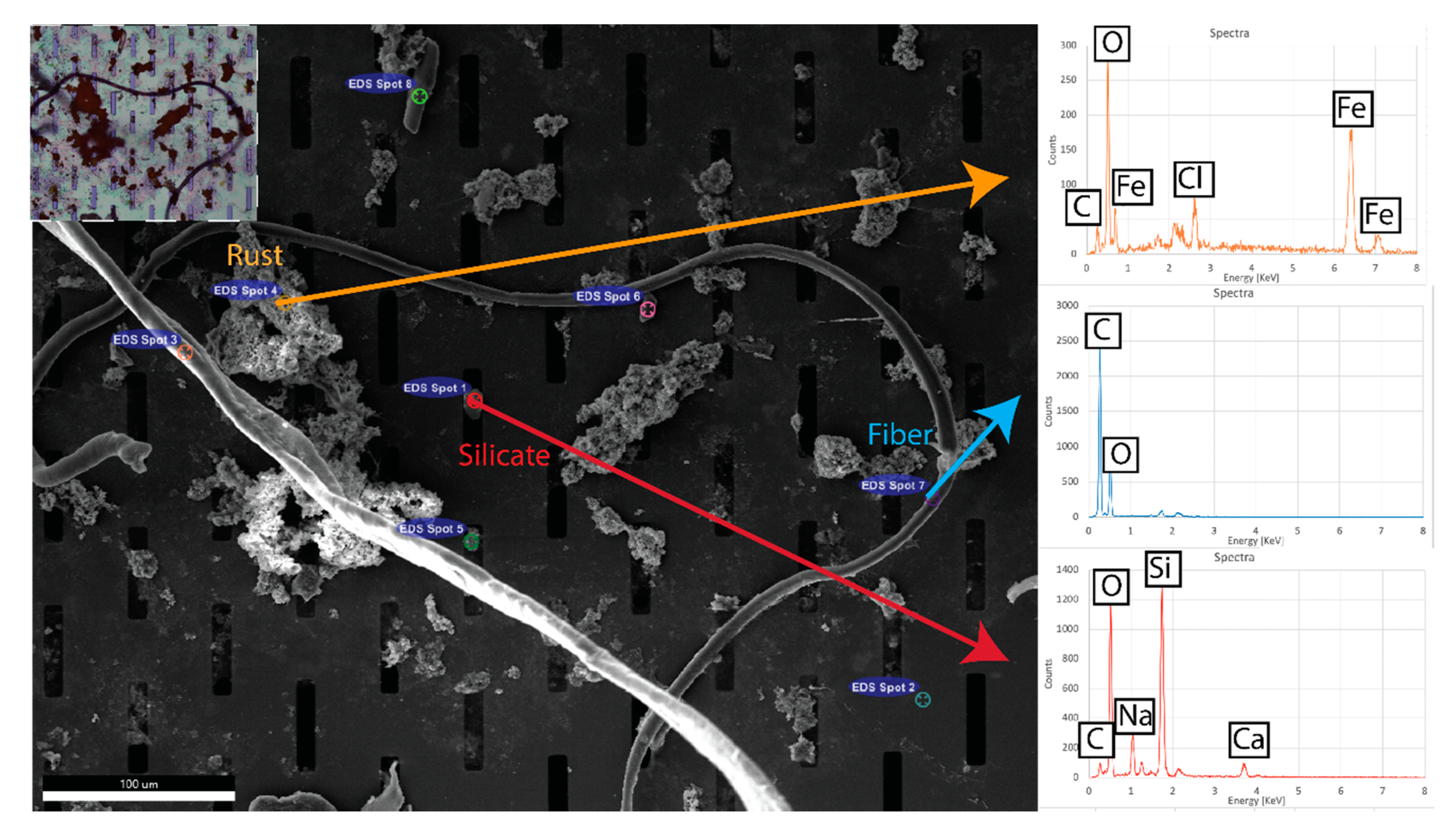 Sustainability 12 10655 g005