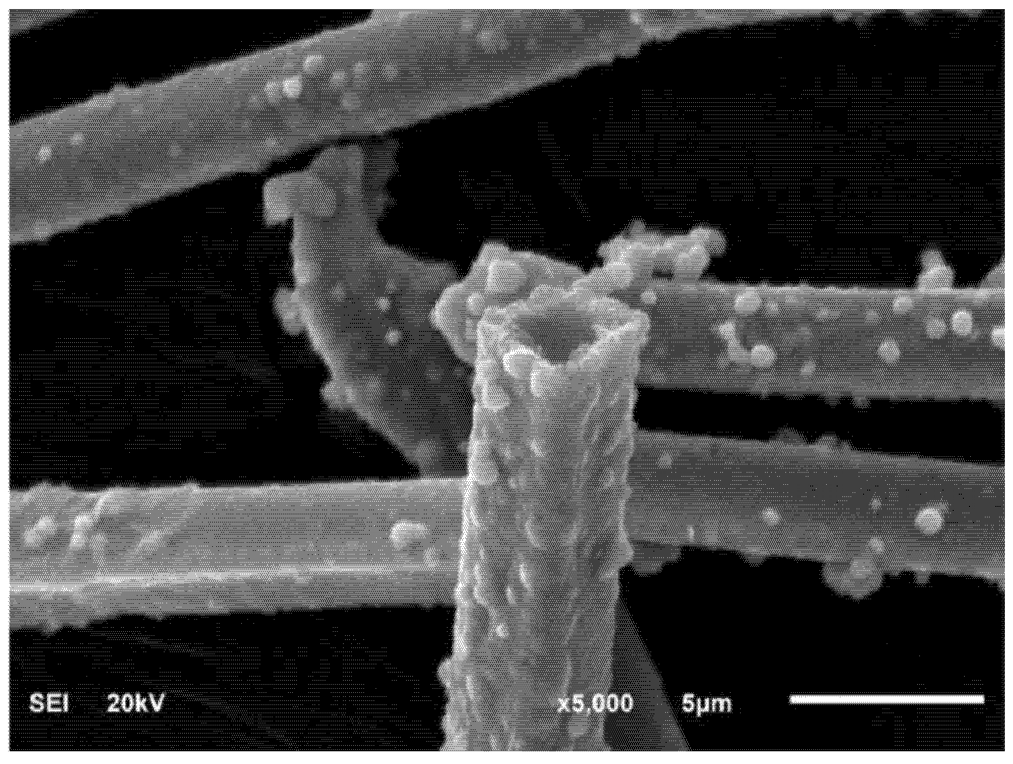 Sustainability 13 00016 g002 Sustainability 13 00016 g002