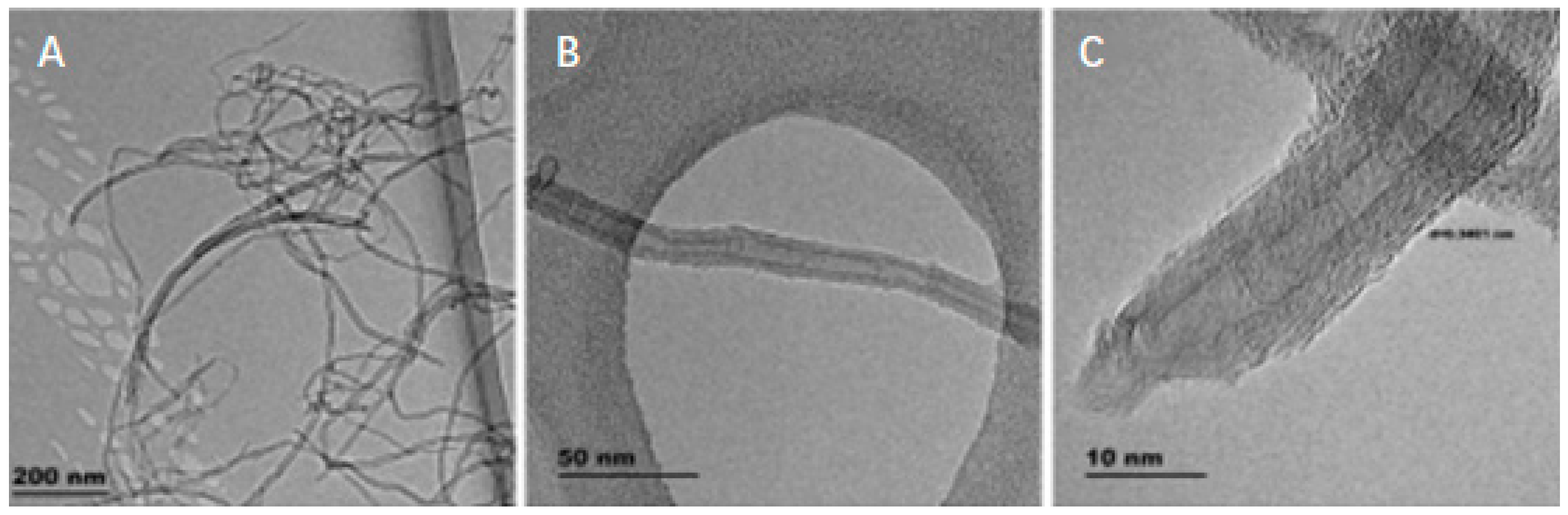 Sustainability 13 00021 g006