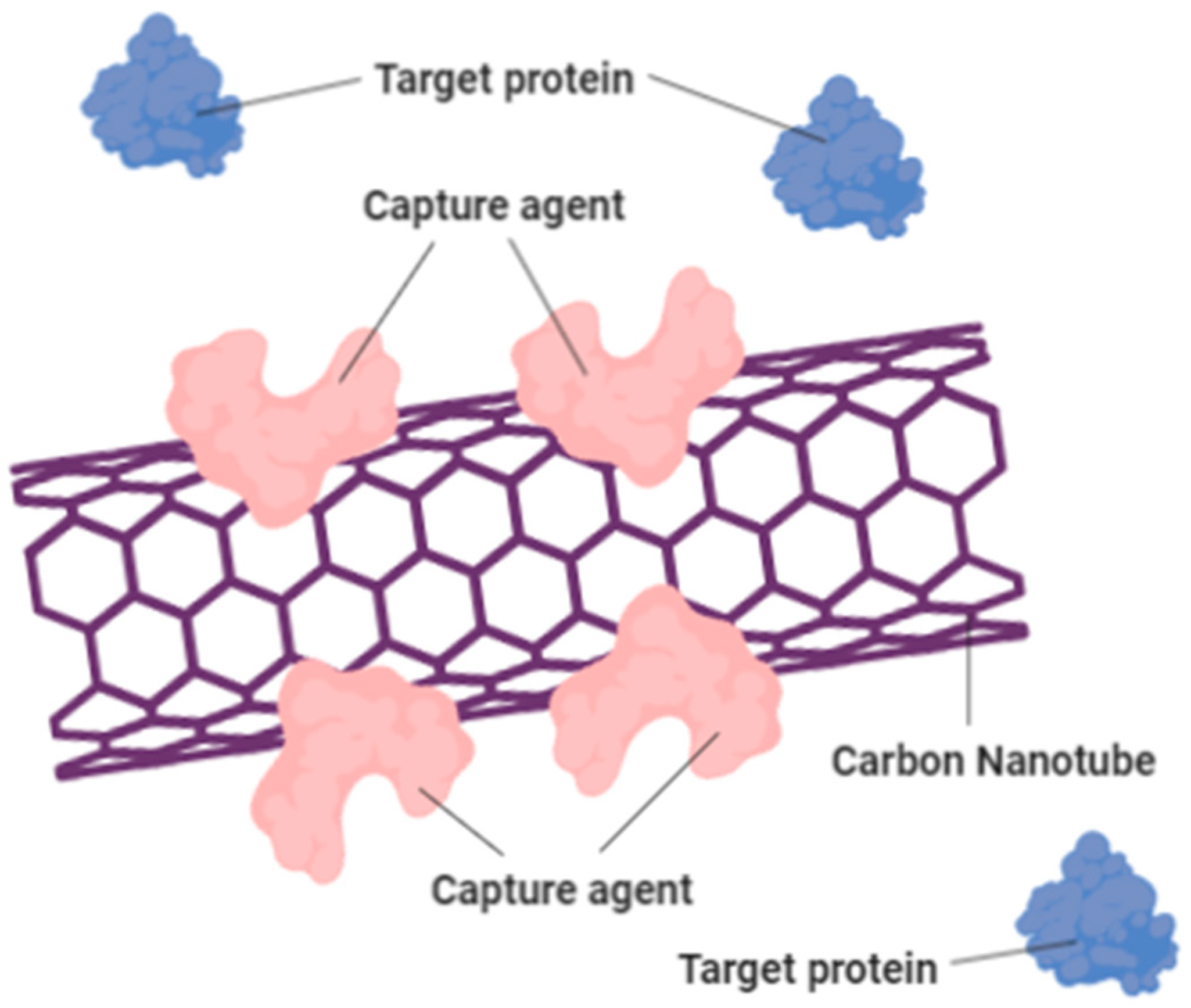 Sustainability 13 00021 g008