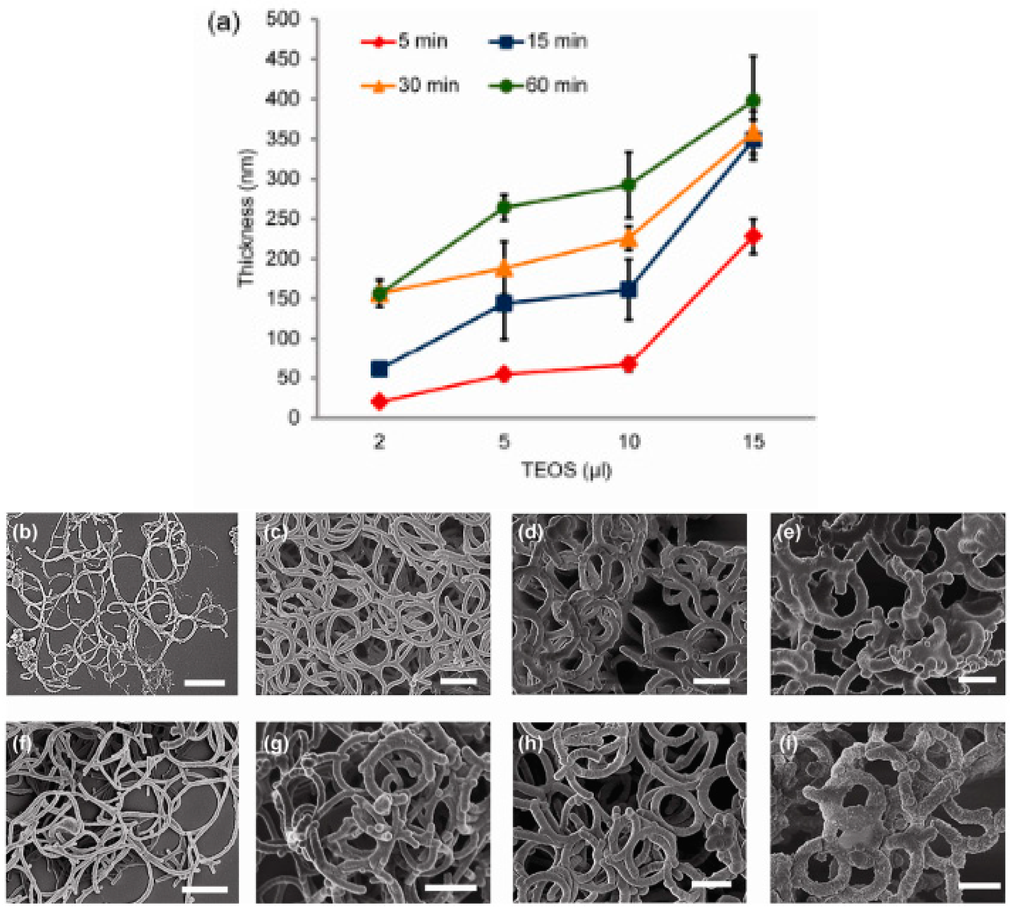 Sustainability 13 00021 g010