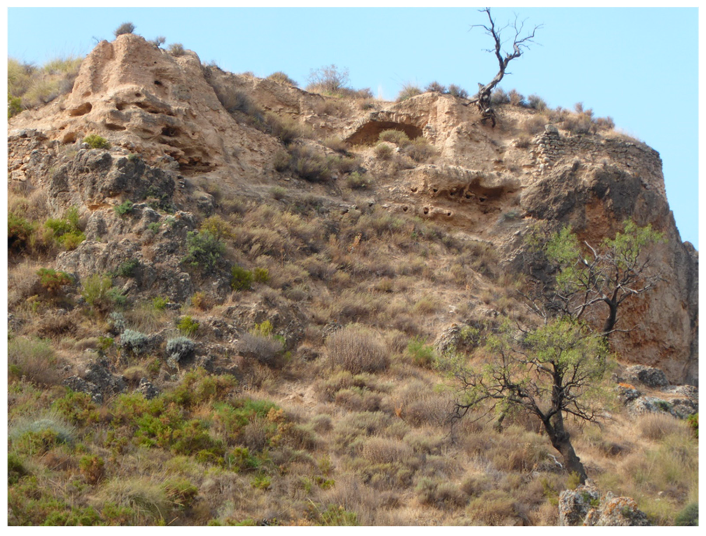 Sustainability 13 00024 g005