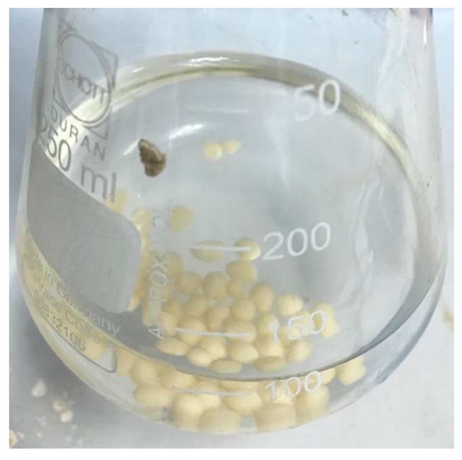 Sustainability 13 00036 g002