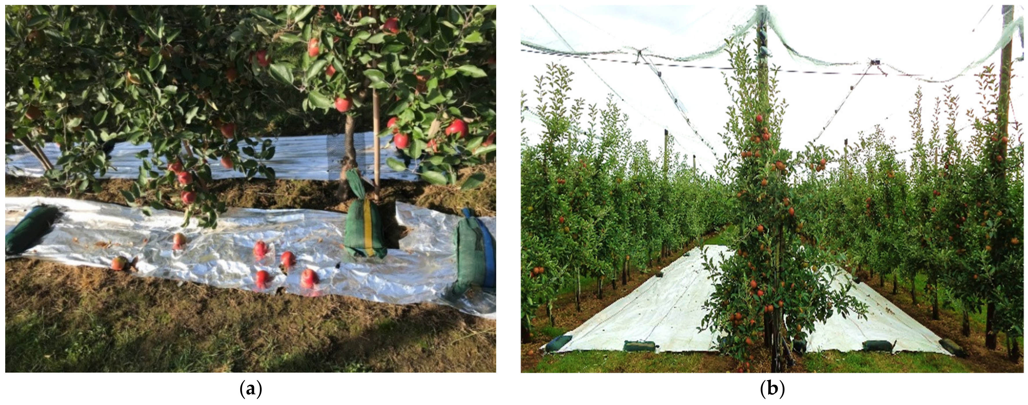 Sustainability 13 00073 g001 Sustainability 13 00073 g001