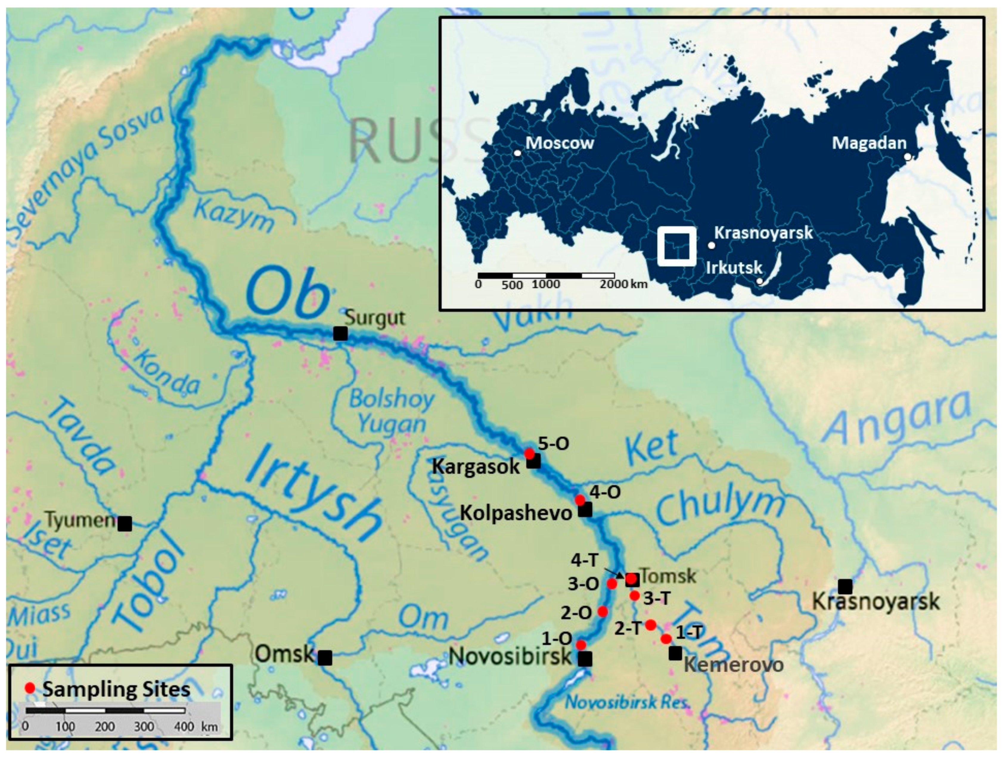 Sustainability 13 00080 g001