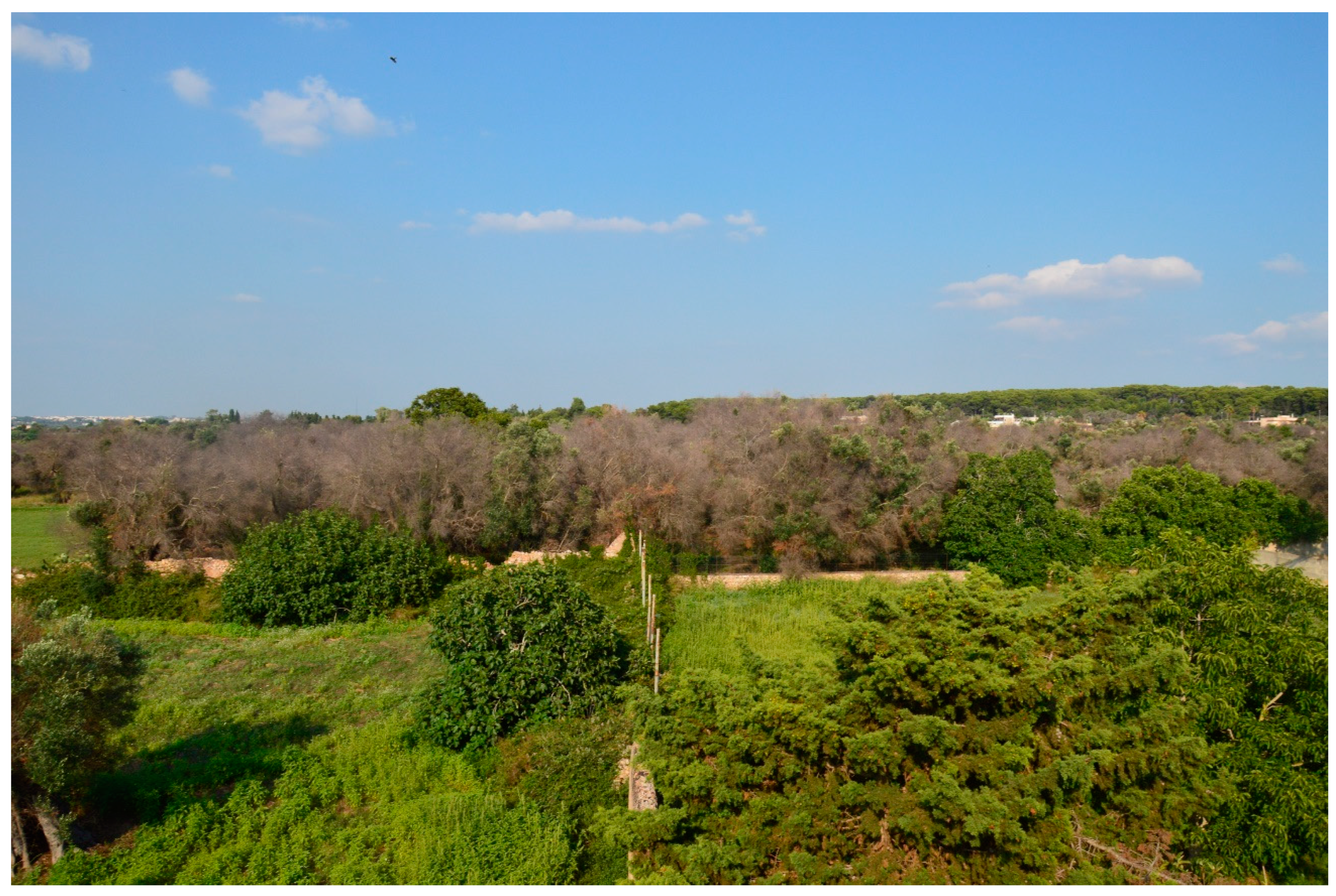 Sustainability 13 00122 g005