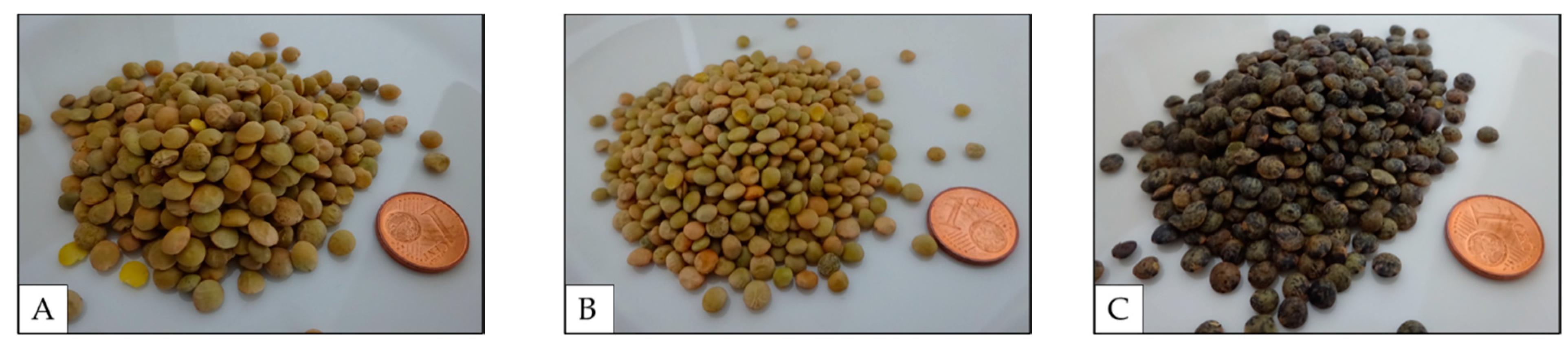 Sustainability 13 00133 g003 Sustainability 13 00133 g003