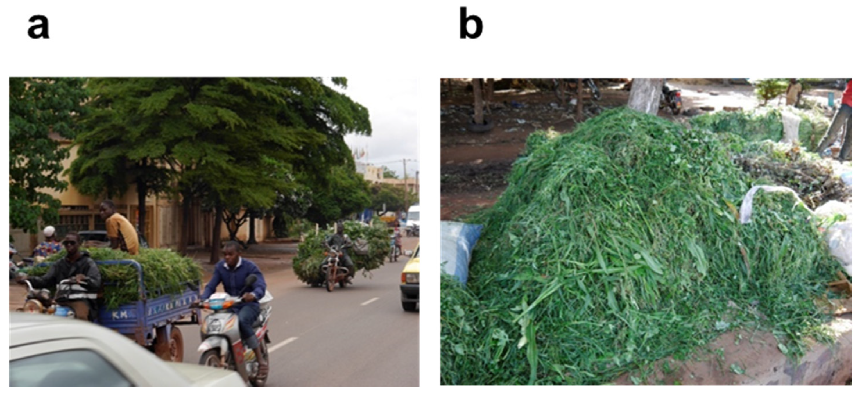 Sustainability 13 00171 g007