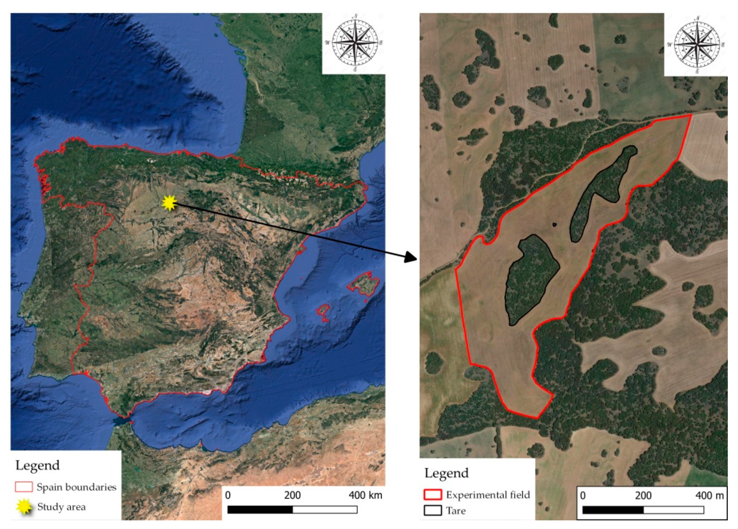 Sustainability 13 00195 g001