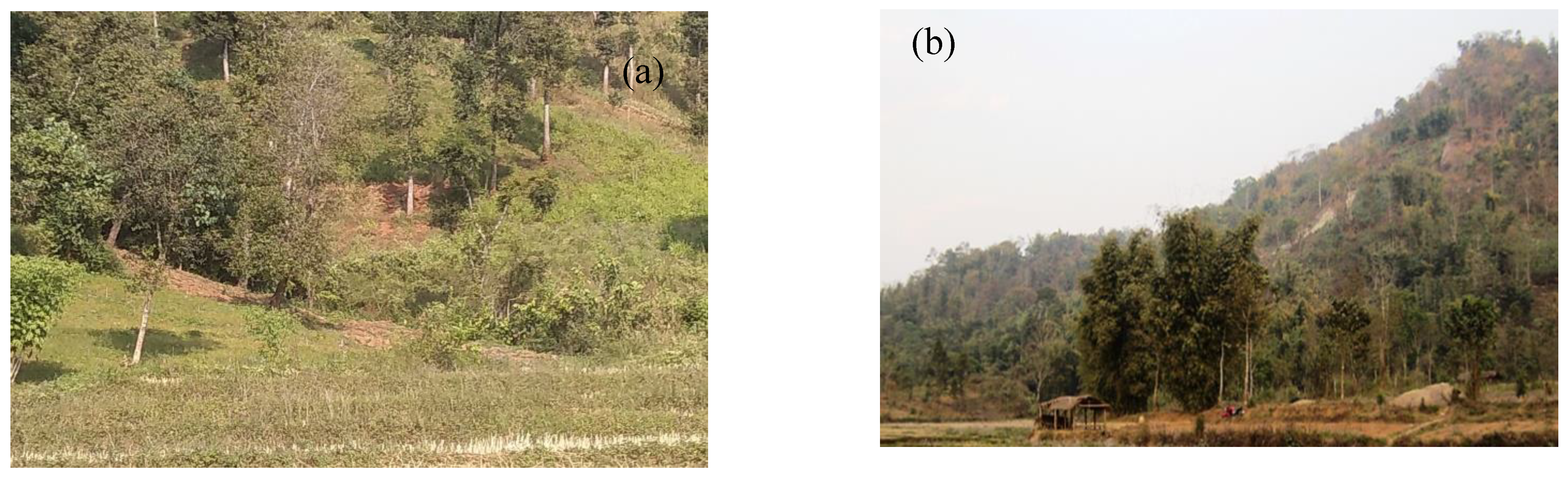 Sustainability 13 00232 g002a