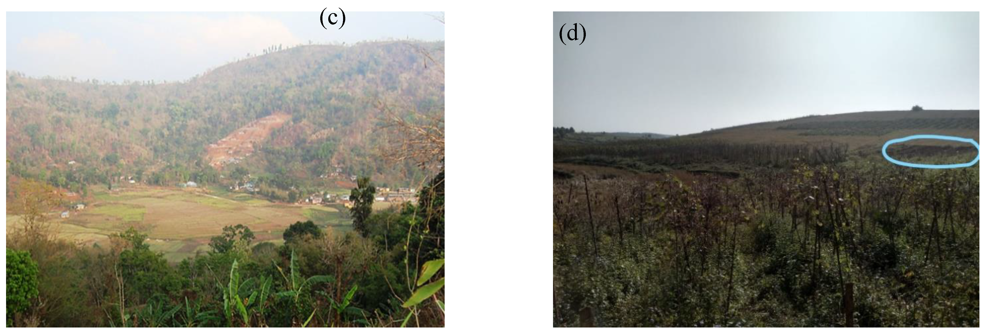 Sustainability 13 00232 g002b