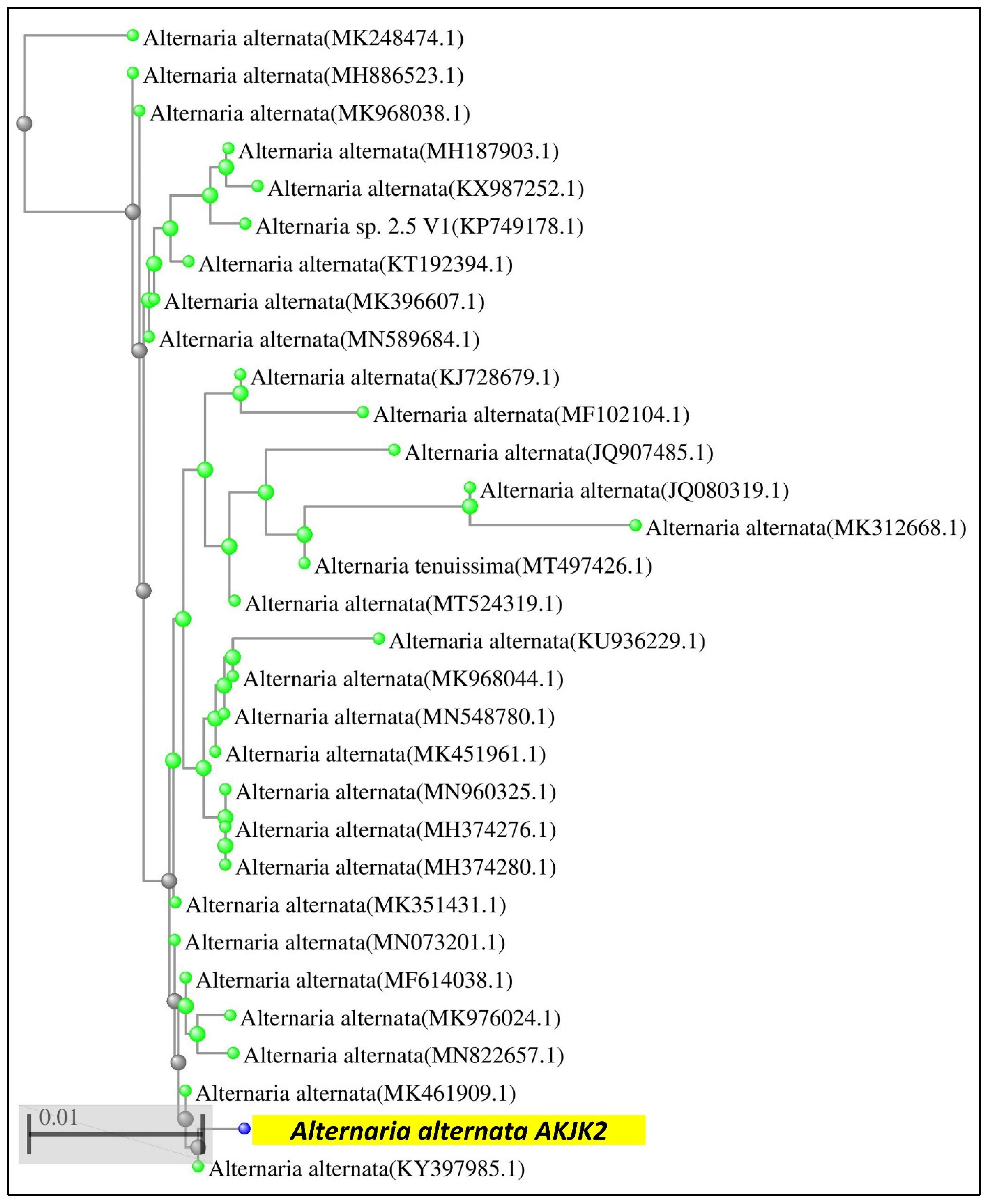 Sustainability 13 00245 g002