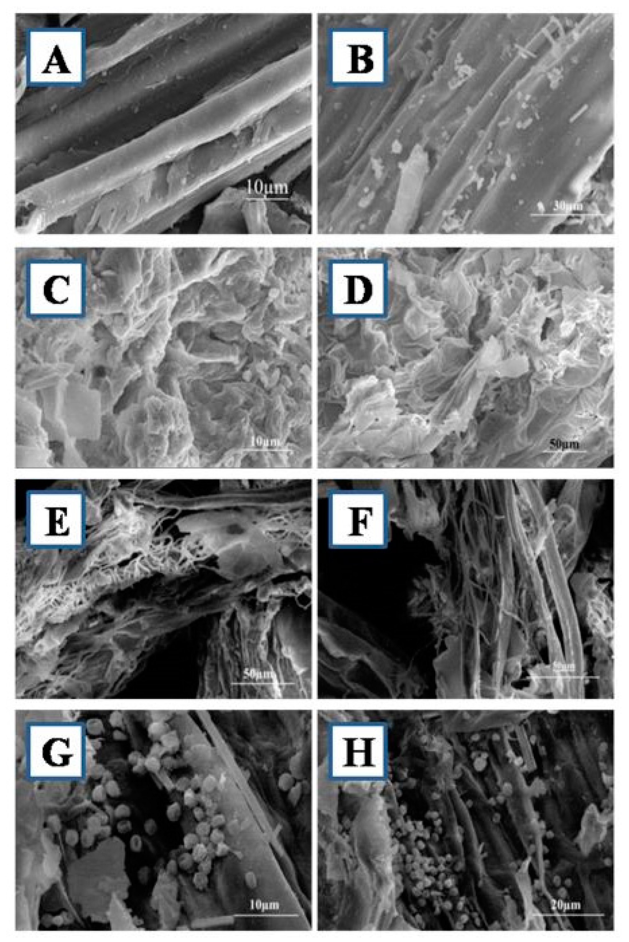 Sustainability 13 00245 g005
