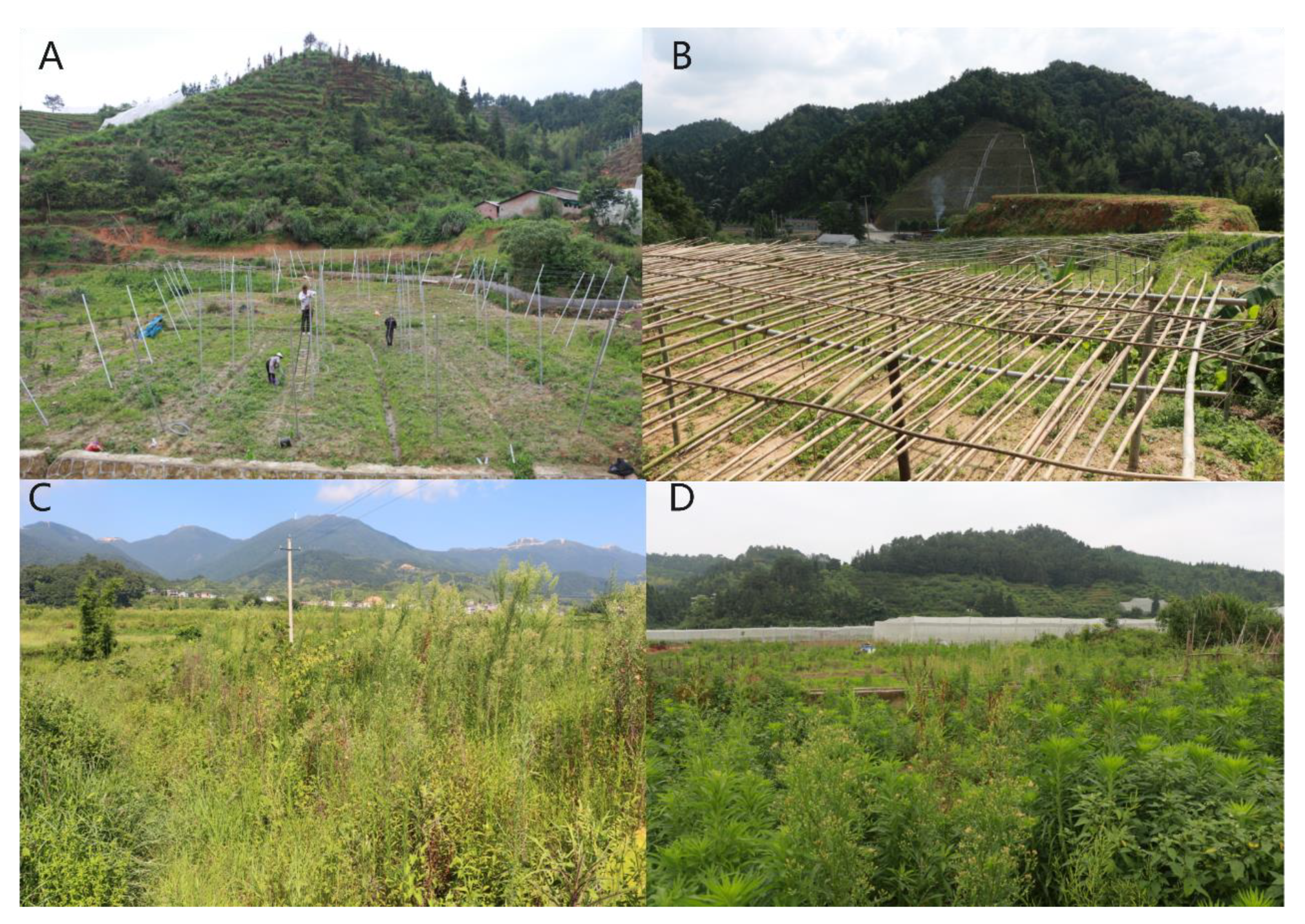 Sustainability 13 00253 g006