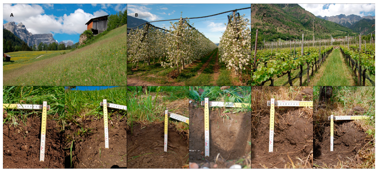 Sustainability 13 00312 g002