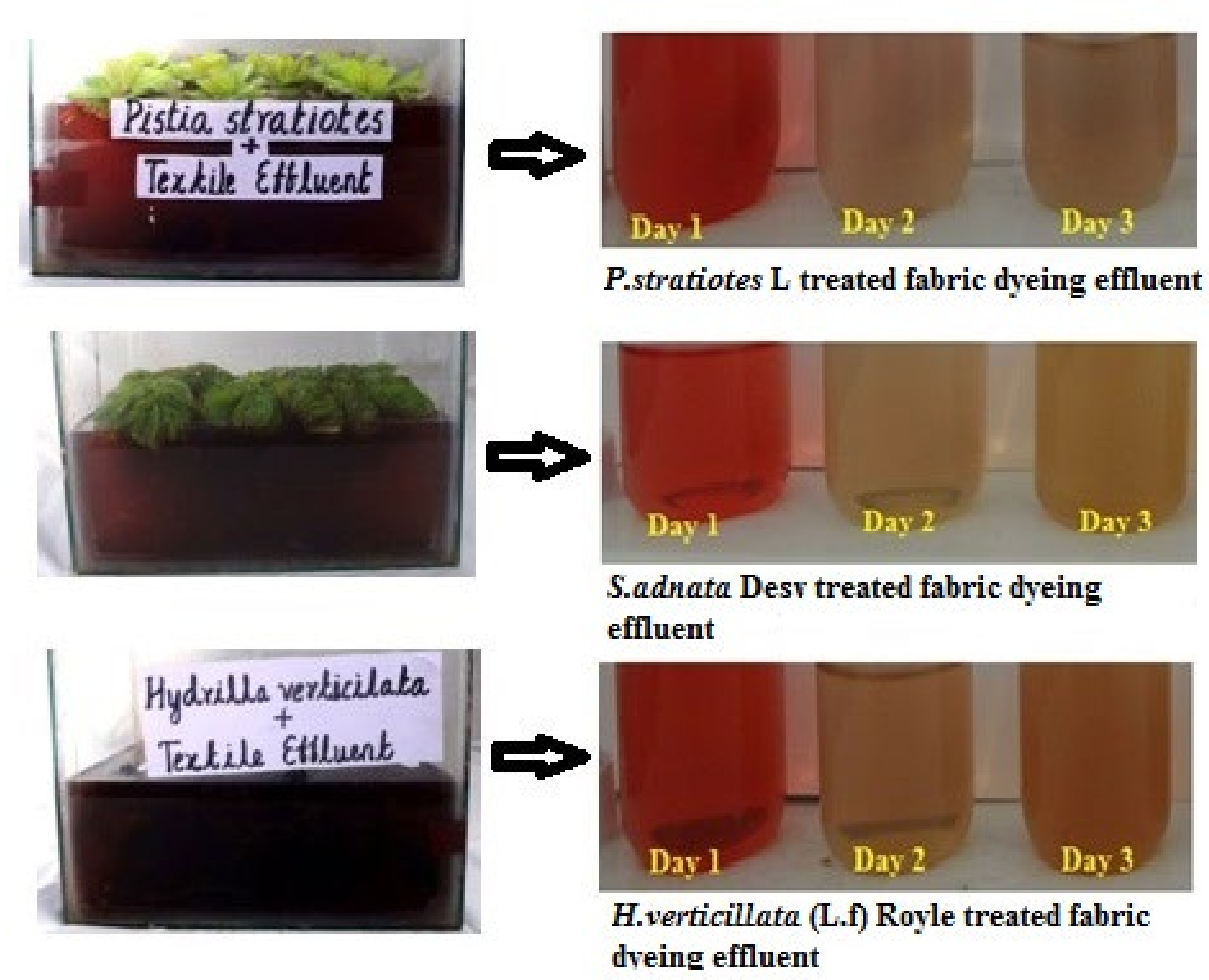 Sustainability 13 00329 g003