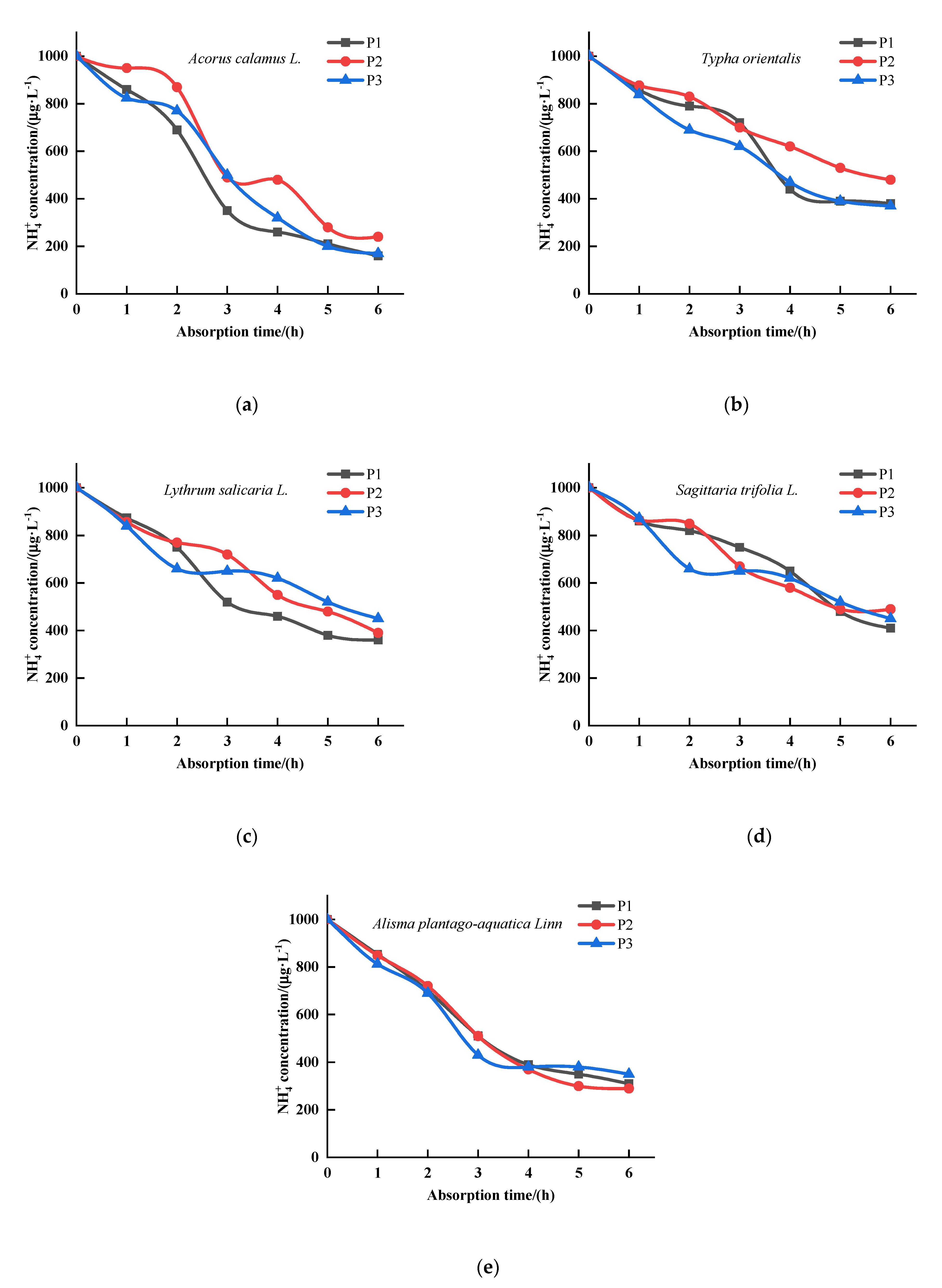 Sustainability 13 00434 g002