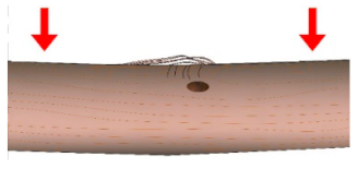 Sustainability 13 00439 i006 Sustainability 13 00439 i006