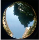 Sustainability 13 00468 i029 Sustainability 13 00468 i029