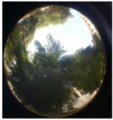 Sustainability 13 00468 i031 Sustainability 13 00468 i031