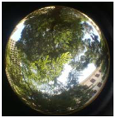 Sustainability 13 00468 i037 Sustainability 13 00468 i037