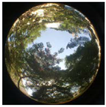 Sustainability 13 00468 i039 Sustainability 13 00468 i039