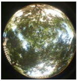 Sustainability 13 00468 i041 Sustainability 13 00468 i041