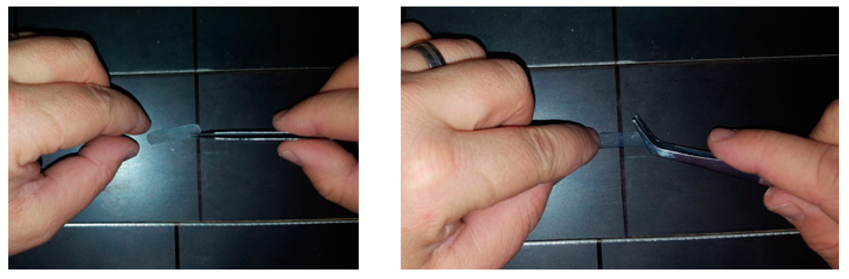 Sustainability 13 00477 g007