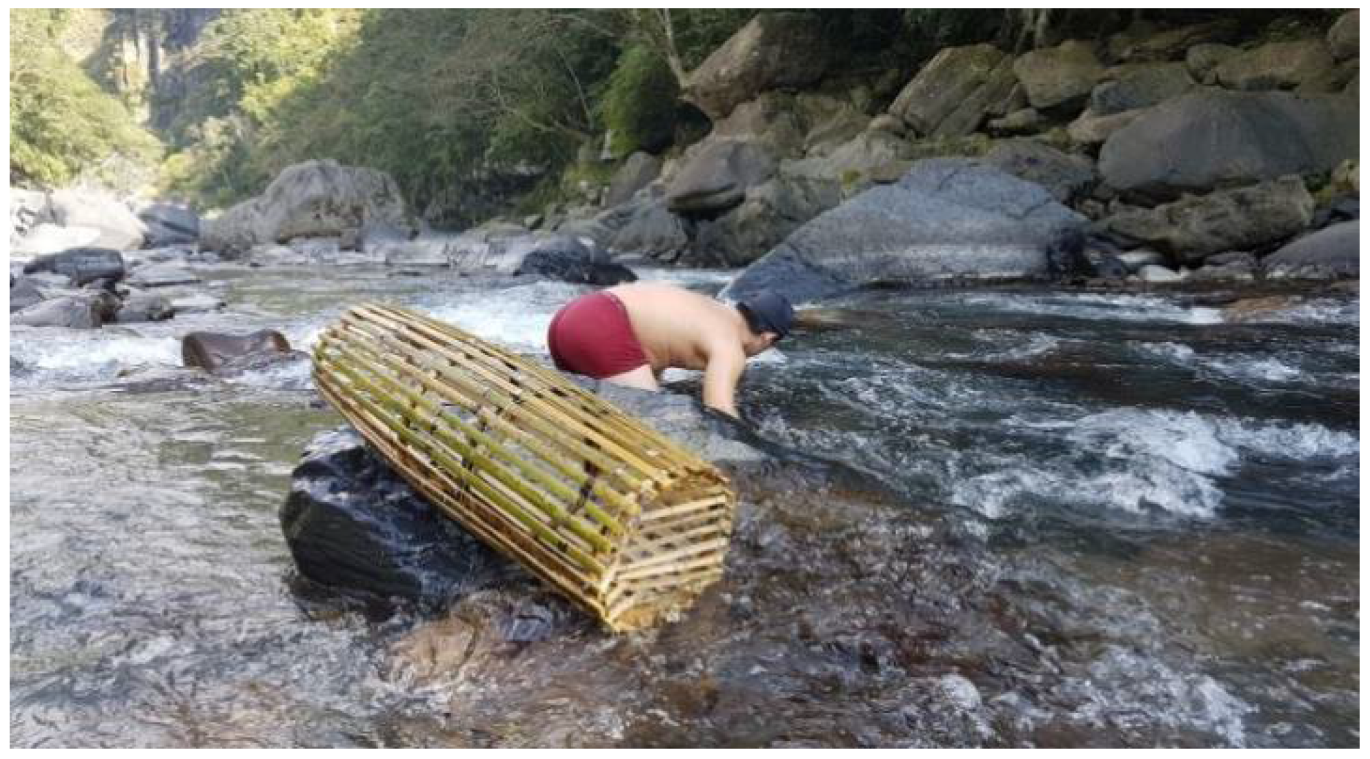 Sustainability 13 00506 g004