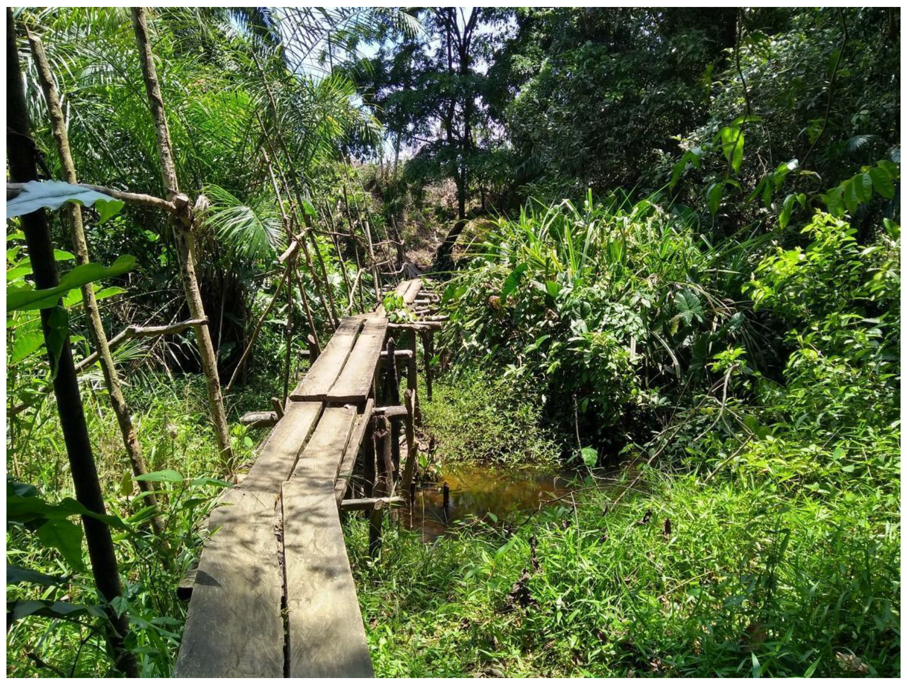 Sustainability 13 00527 g011