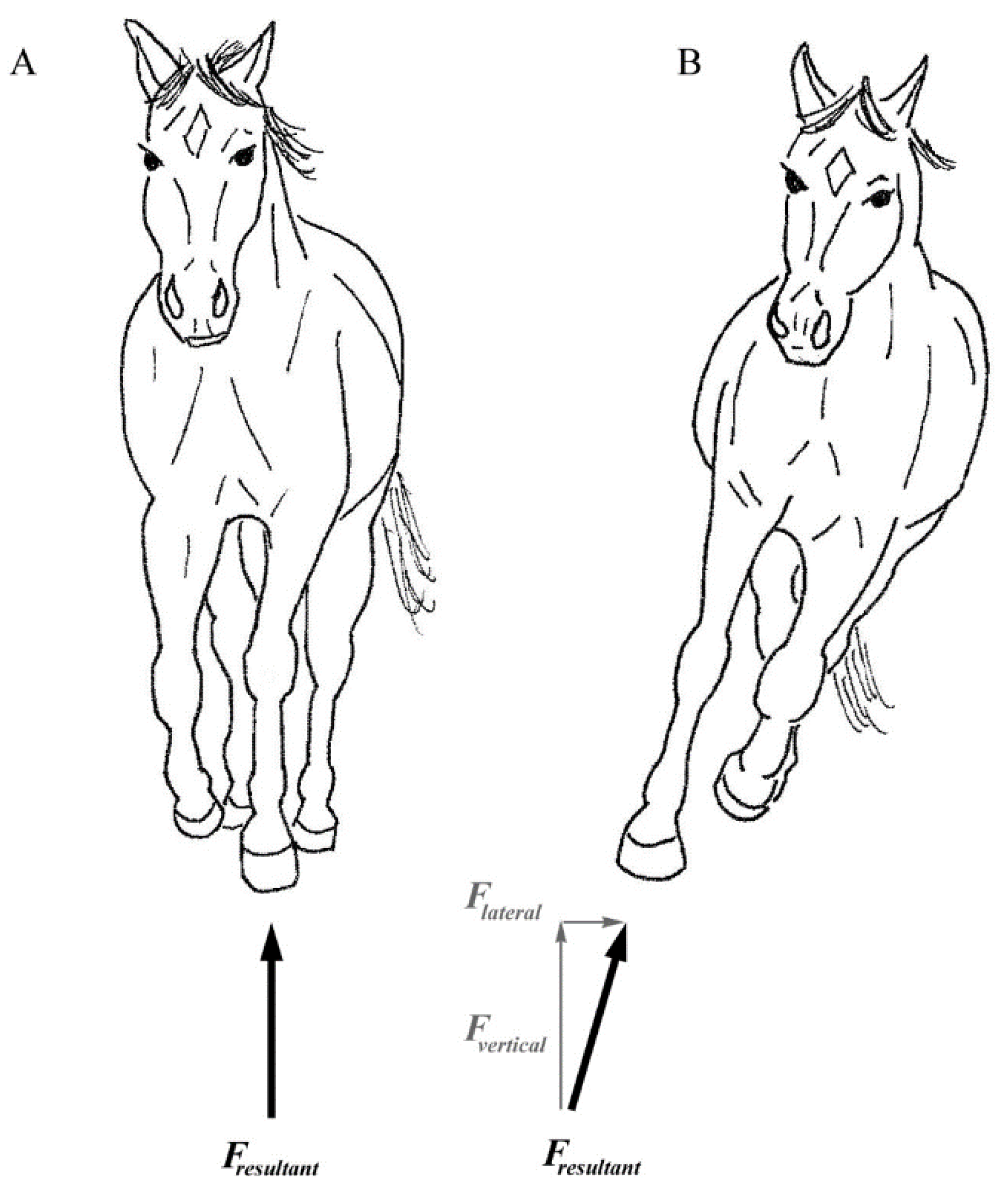 Sustainability 13 00539 g001 Sustainability 13 00539 g001