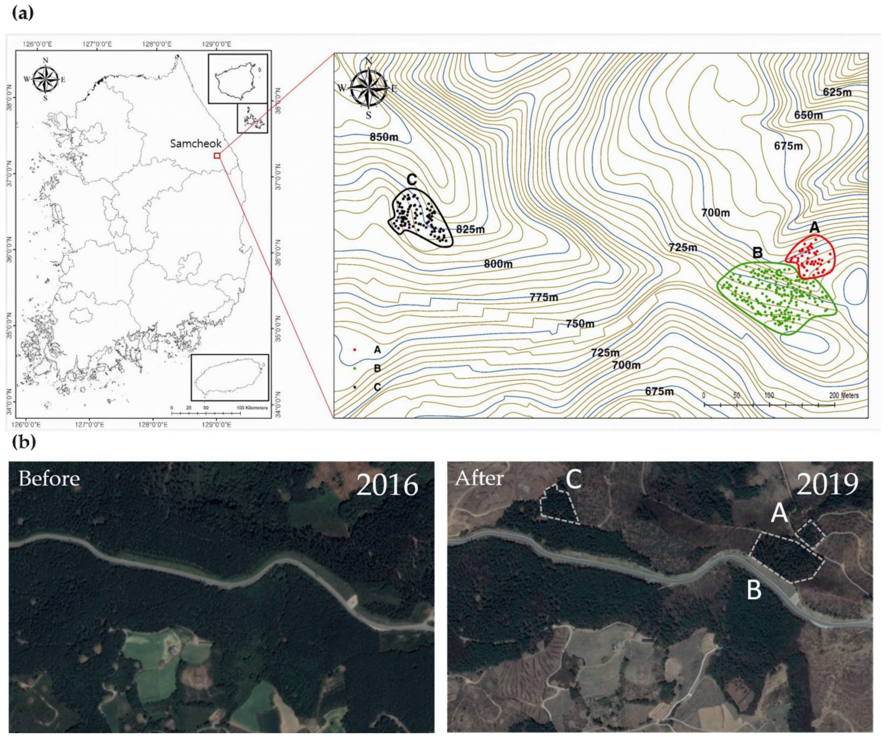 Sustainability 13 00569 g001