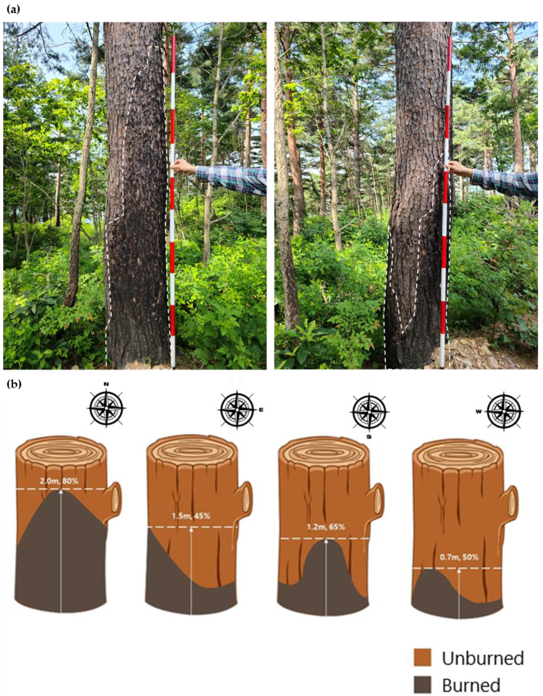 Sustainability 13 00569 g002