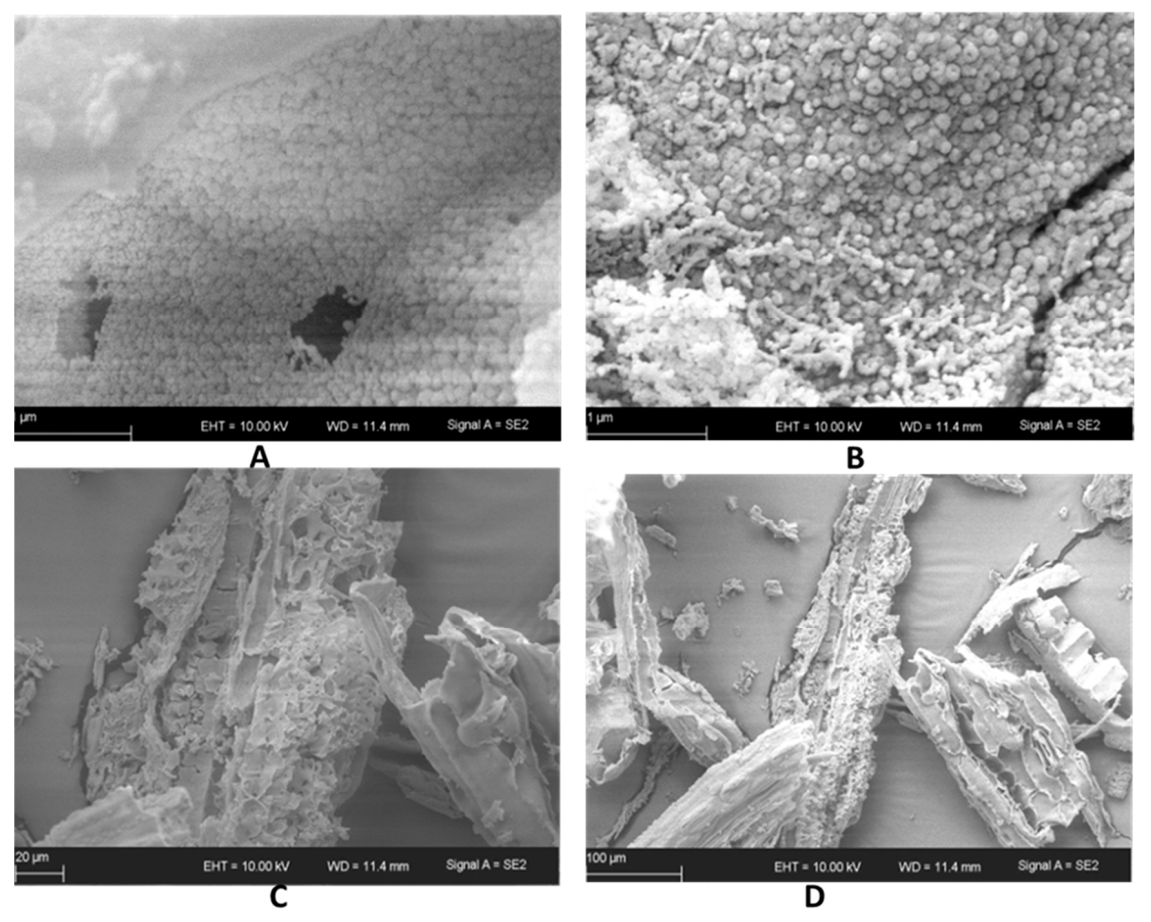 Sustainability 13 00577 g005 Sustainability 13 00577 g005