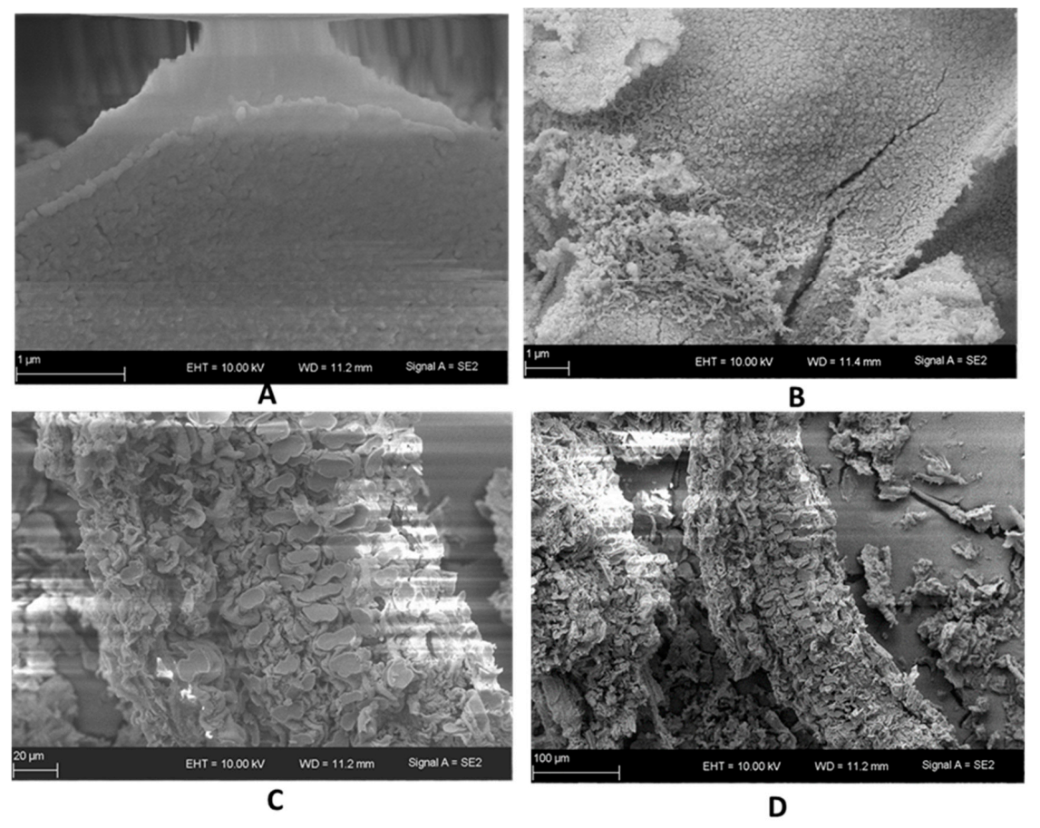 Sustainability 13 00577 g006 Sustainability 13 00577 g006