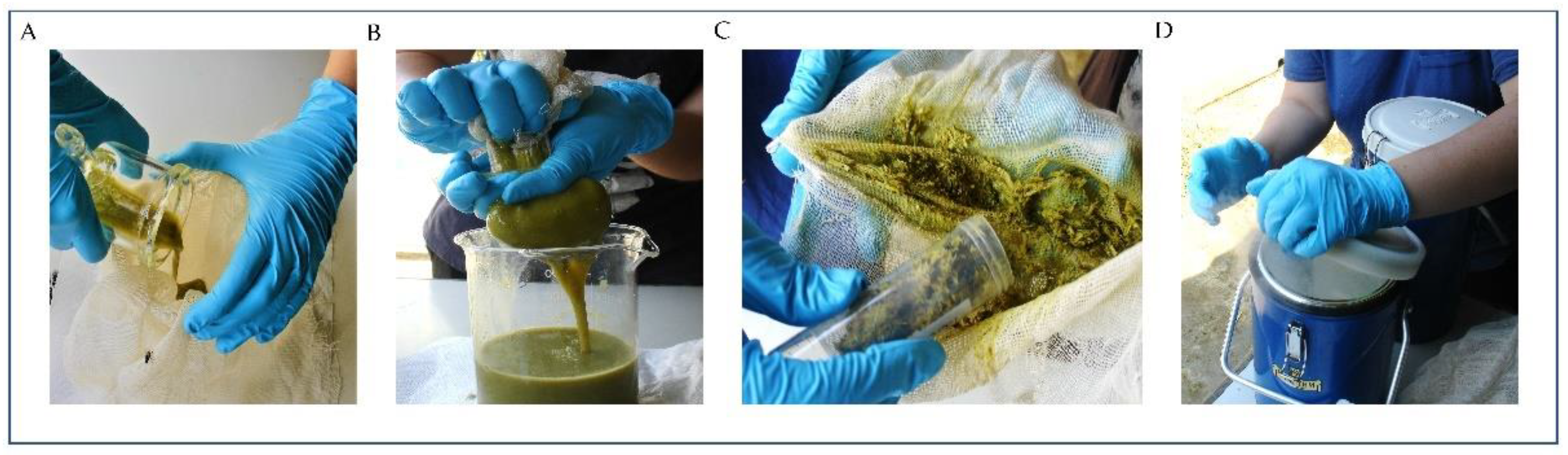 Sustainability 13 00607 g001