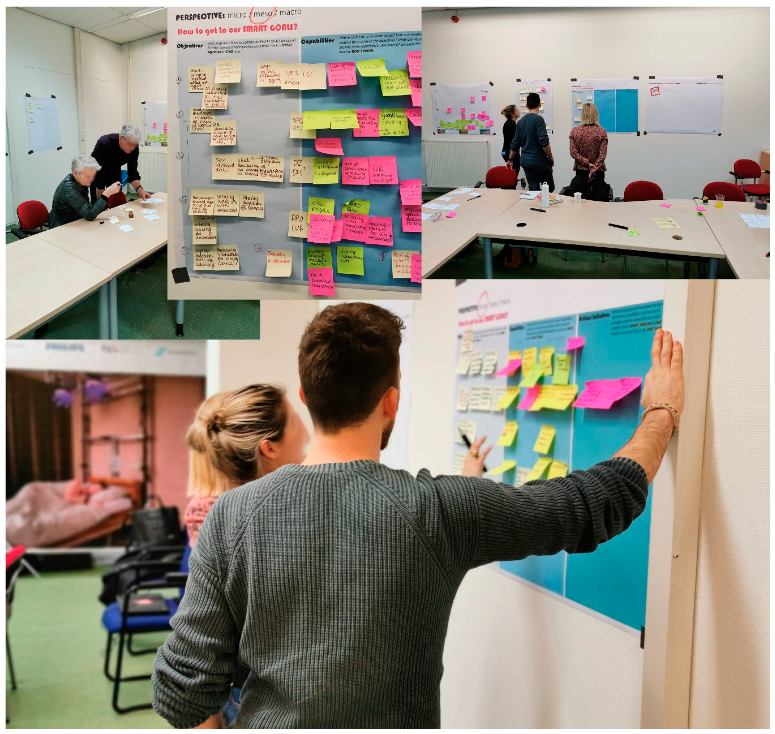 Sustainability 13 00614 g001