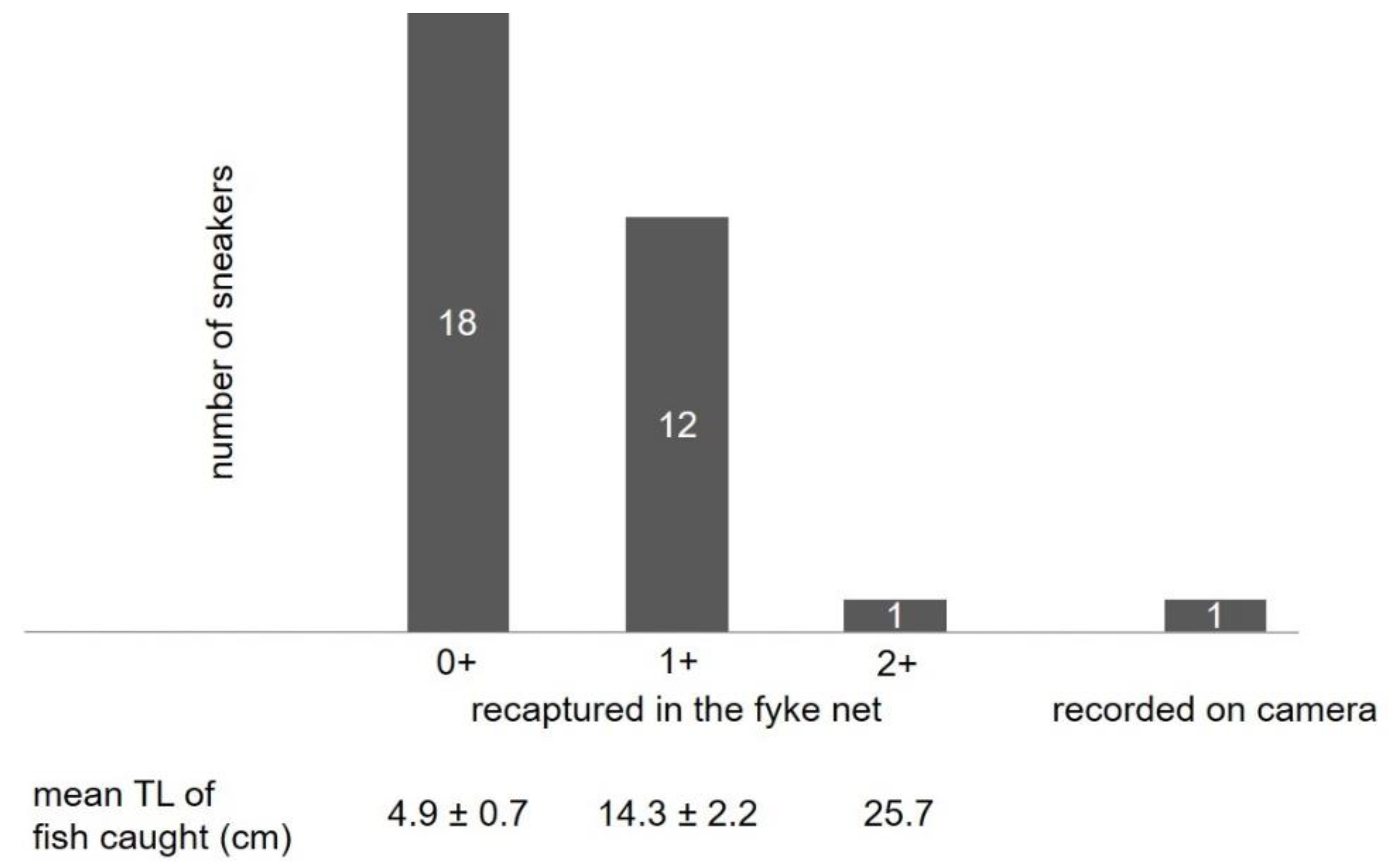 Sustainability 13 00669 g005