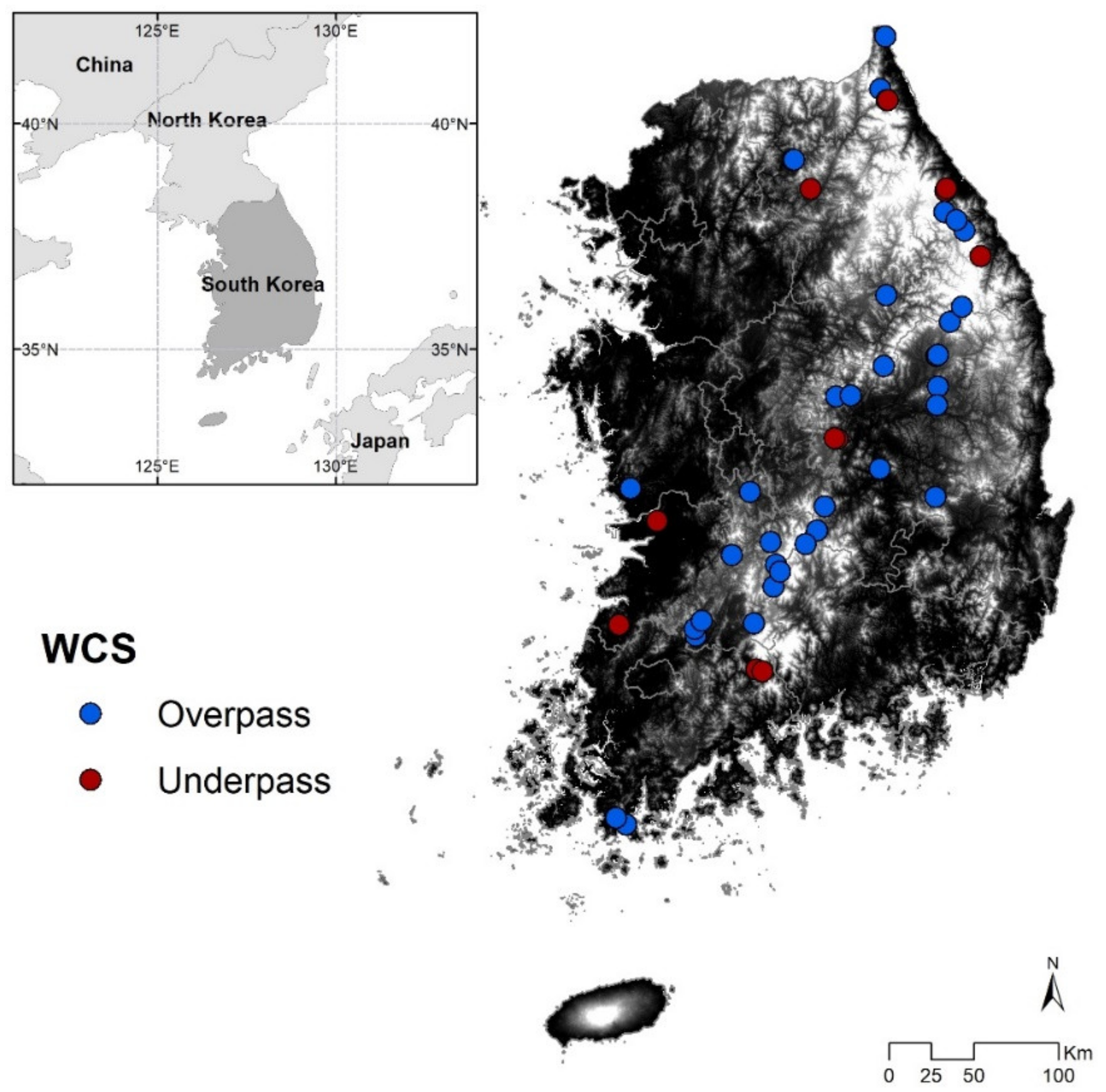 Sustainability 13 00675 g001