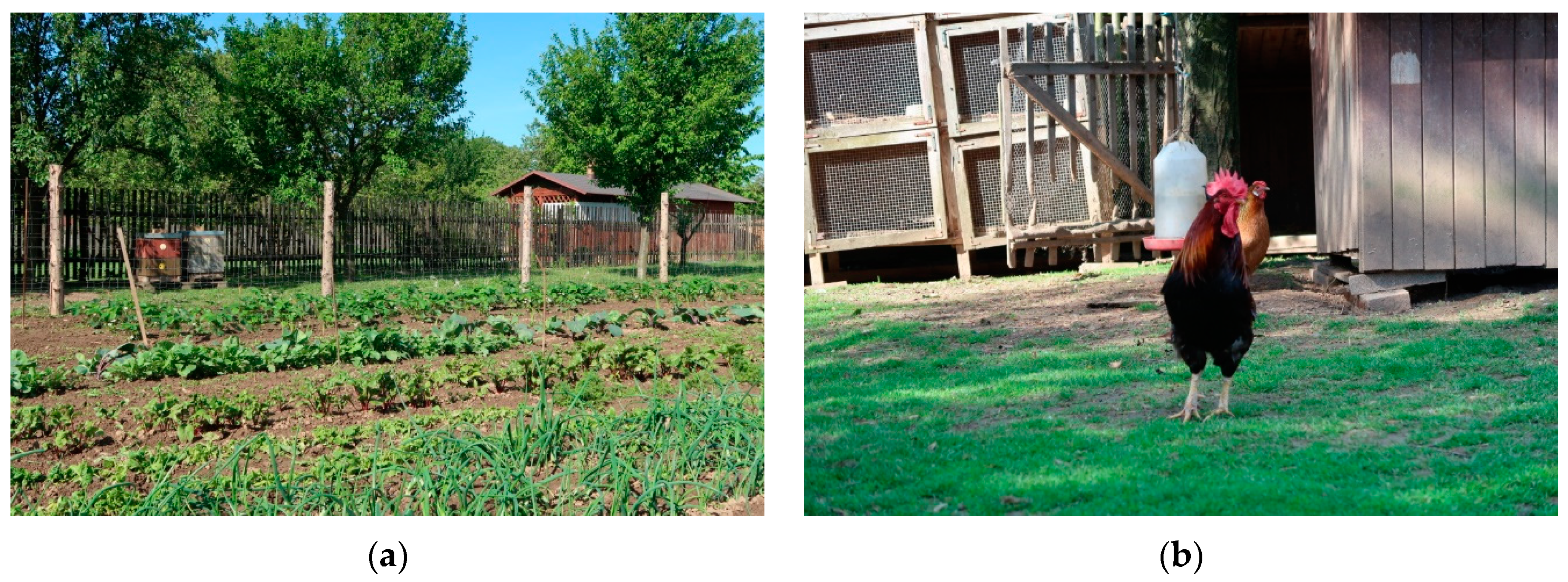 Sustainability 13 00706 g002