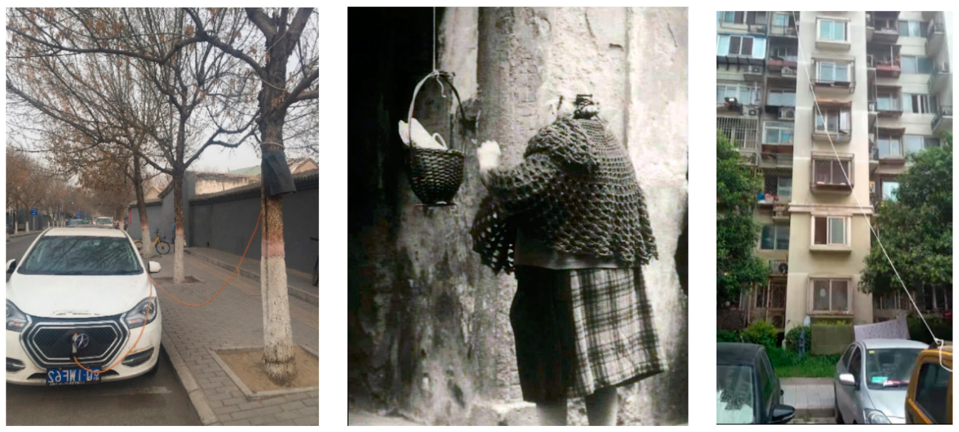 Sustainability 13 00719 g006 Sustainability 13 00719 g006